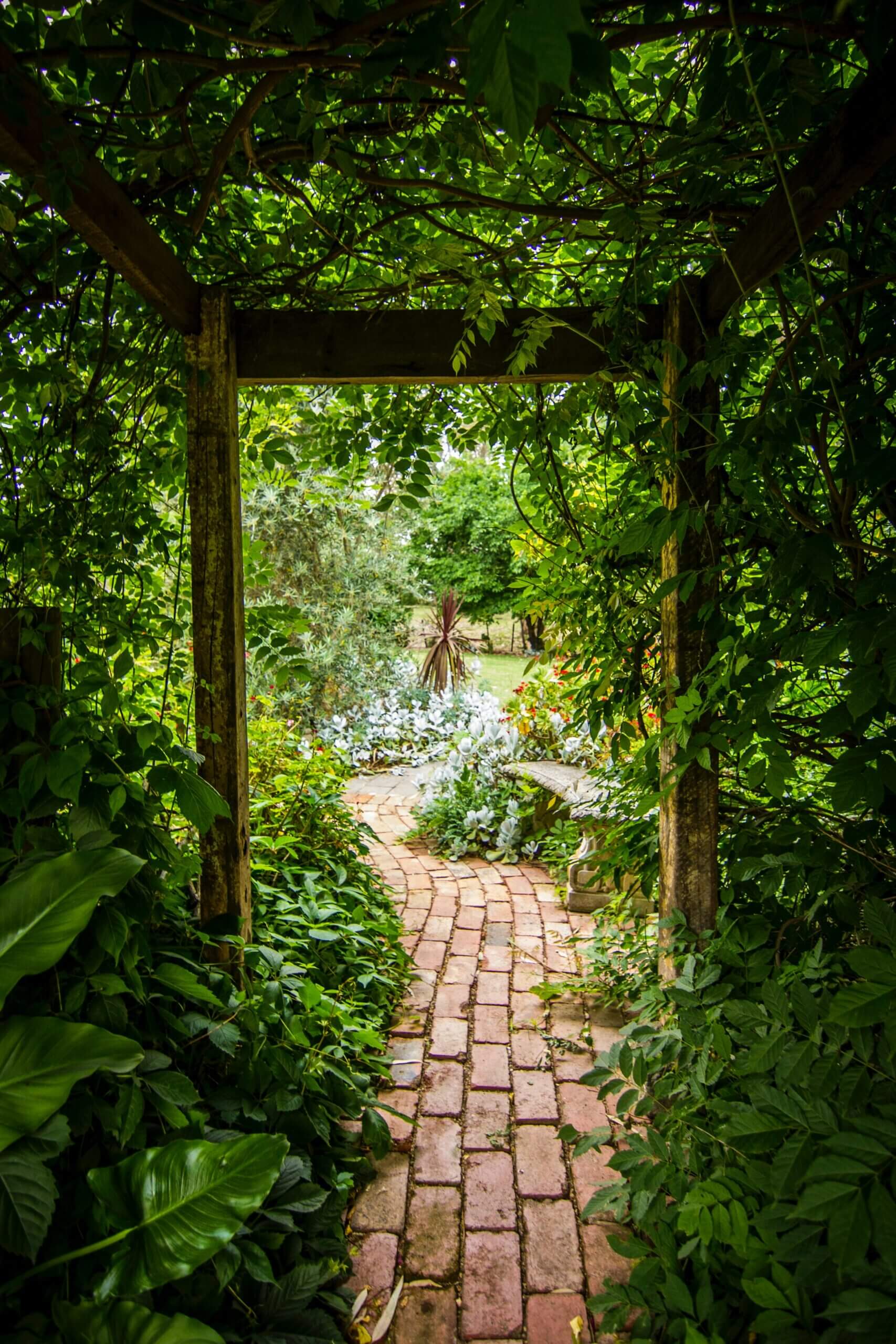 Allée pavée sous une pergola dans un jardin