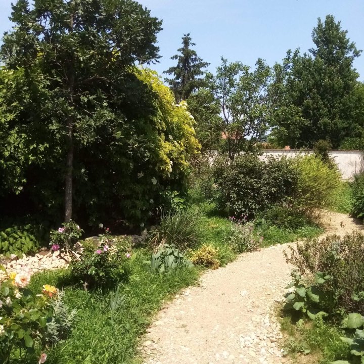 Chemin en gravier au milieu d'un jardin